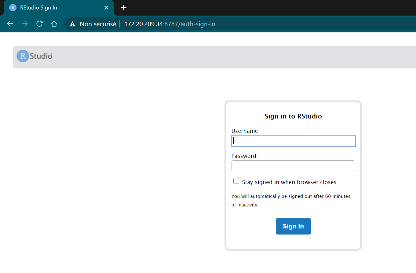 Wsl Rstudio